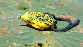Froggin' TRICKS That Catch BIG BASS
