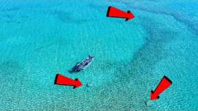 Where Are Bass In Winter? (And The Tricks We Use To Catch Them)