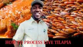 IDEAS FOR PREPARING LIVE FISH FOR FOOD | COOKING TILAPIA FISH
