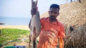 You Never Seen!!! Giant Carp Fish Cutting Live In Fish Market | Fish Cutting Skills By Fishing Skill