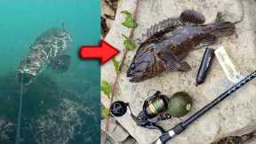 Catch and Cook BOILED Fish ** Underwater Fishing Camera