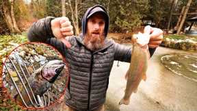 This FISH POND IS OVER :( - Spearfishing, Netting, Handfishing Catch, Clean, Cook