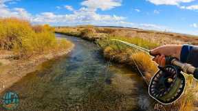 Streamer Fishing a TINY Creek for a NEW PB! (Fly Fishing)
