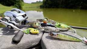 Summer Fishing Lure that NEVER FAILS!!! (Bank Fishing 5 NEW Lakes & Ponds)