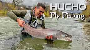 Hucho Fly Fishing | A big hucho on first cast | Time to celebrate 🥳