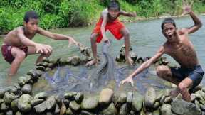 Cooking fish, building a stone dam catch and cook eating delicious | Primitive technology