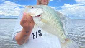 CRAPPIE Fishing Lake GRENADA‼️ | HOME Of The 3 POUND CRAPPIE‼️