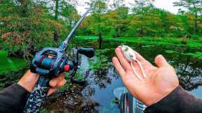 TOPWATER HEAVEN?! Instant Action In Bass Fishing Tournament At My Favorite Lake