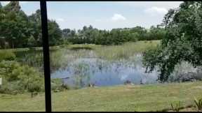 Pond fishing @ Hum Lilly Lake House