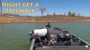 Colt Farris Fishing Lake Grapevine 4-3-2022 Media Bass Solo