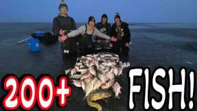 Lake Poygan EARLY ICE!! (Insane)