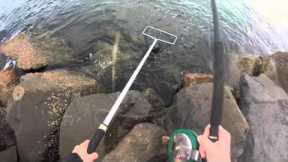 How to catch, clean and cook Luderick (Black Fish)