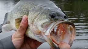 Bass Fishing & We Lost A GIANT! | Addicted Life Ep. #5 😮