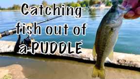 Catching TONS of FISH out of a PUDDLE! (Fishing at Lake Balboa)