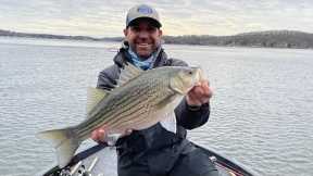 Lake of the Ozarks Fishing Report, December 2, 2022