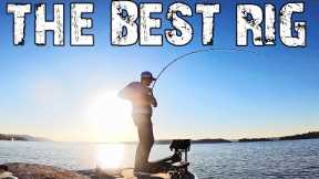 The BEST RIG During COLD MONTHS For BASS FISHING!! (Catch MORE)