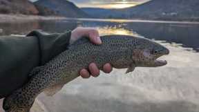Sunrise Bite | Trout Fishing Silverwood Lake