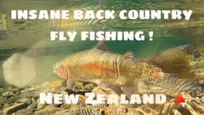 Trout Fishing for Wild Rainbow Trout - BACK COUNTRY FLY FISHING-