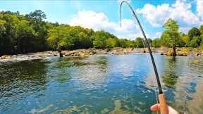 Fly Fishing: Crazy Rare NEW Species! (CATCH CLEAN COOK) - #FieldTrips Oklahoma