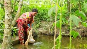 Rupchand Machher Jhol - Fish Catch n Cook - Village Style Cooking - desi food