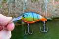 You DON'T Want to MISS this Lure for