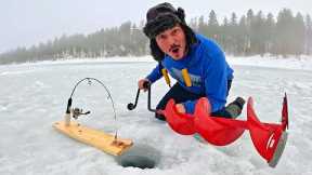 I built a FISH TRAP to catch TROUT in a Mountain Lake!!!