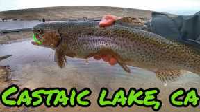 FIRST CATCHES OF 2023 | TROUT FISHING @CASTAIC LAKE CA | DROPSHOT RIG | #socaltroutfishing 🎣🦁👍🏼