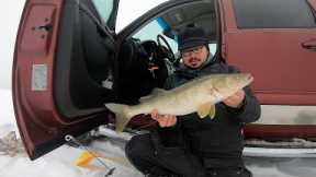 Lower Red Lake (Dead Sticks For Walleye)