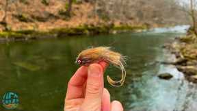 This WEIRD Streamer Caught TONS of Fish! (Winter Fly Fishing)