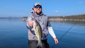 Table Rock Lake Video Fishing Report Jan 10, 2023