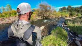 Solo Camping and Fly Fishing: I Caught a 4lb Brown Trout