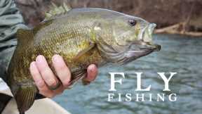 Unbelievable fly fishing experience (Holston River)