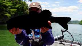 My NEW PB?! Fishing Parksville Lake ft. Creek Fishing Adventures