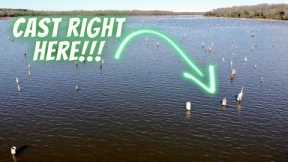 Fish The Best Structure On Lake Fork Without Electronics: See Creek Channels With Naked Eyes!!!