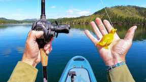 Fishing a DUCKLING Lure in a Mountain Lake (CATCH & COOK) | #FieldTrips South Dakota
