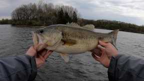 Inland Lake Fishing Moving Baits