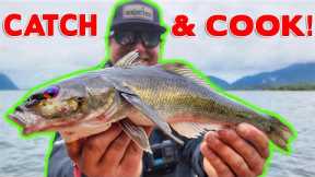 I TRAVELED TO CHILE & Discovered NEW FISH SPECIES! (Catch & Cook)