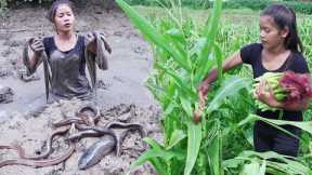 Survival skills: Catch fish & eel in mud lake- Cooking Fish and eel with Baby corn for food puppies