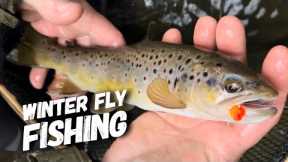 Winter Fly Fishing 2023