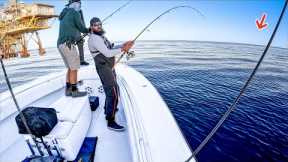 EPIC Battle with The STRONGEST Fish In The Ocean! **120 Miles Offshore**