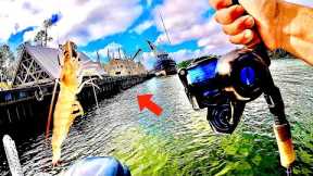 Cooking the First Fish I Catch off of this Old Seawall!