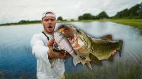 Fishing w/ MASSIVE Swimbait in a TROPHY Bass Lake!! ( topwater explosion )