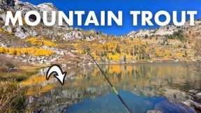 Fishing a High Mountain Lake for Wild Trout (Tenkara Fly Fishing)