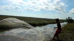 We catch alot of fish by cast net and after we are eating delicious