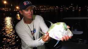 MOONFISH Look Down {Catch Clean Cook} With DINGO!!!
