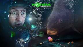 Korda UNDERWATER - The Test Tapes | Carp Fishing