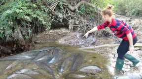 Fishing technology - the girl caught a lot of fish in the lake with just a pump