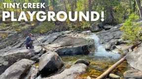 Does Creek Fishing Get Any More FUN Than This?? (Tenkara Fly Fishing)