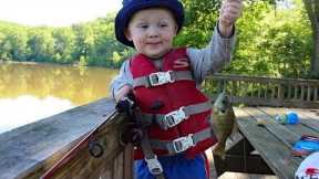 How to Catch Fish For Beginners - Fishing 101 (Picking gear, location, bait, rigs & tips)