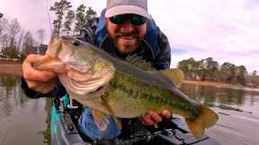 Lake Murray Bass Fishing (Suprise 7lbr)